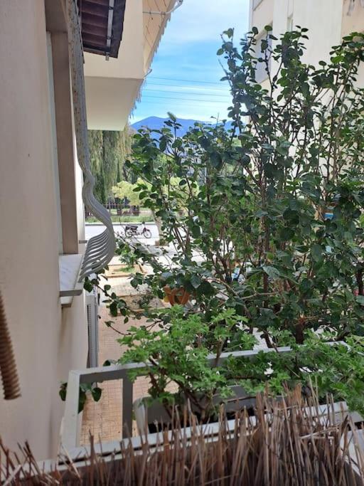 Appartamento Δίπλα Στο Πάρκο Kalamata Esterno foto